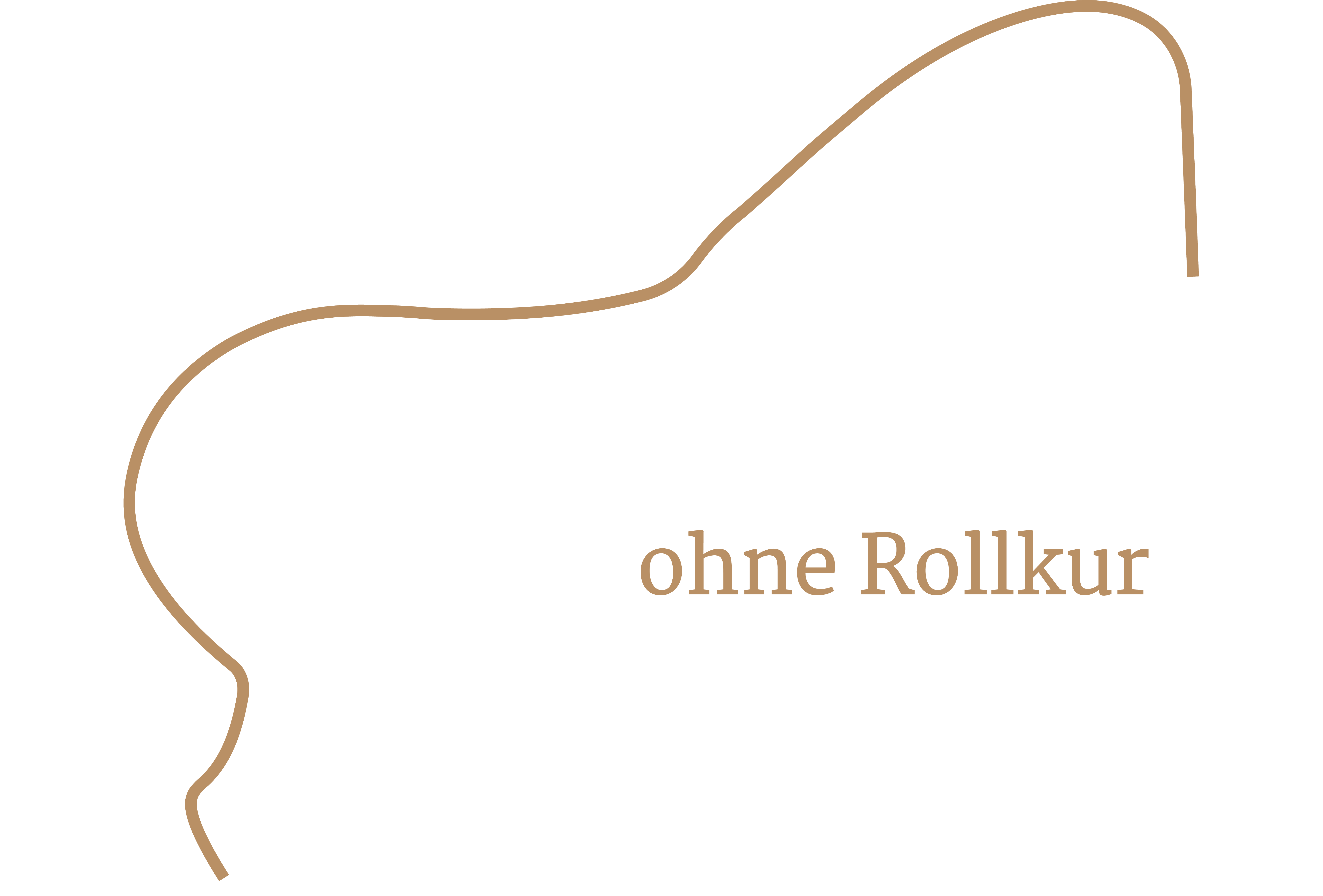 Reitunterricht und Beritt ohne Rollkur