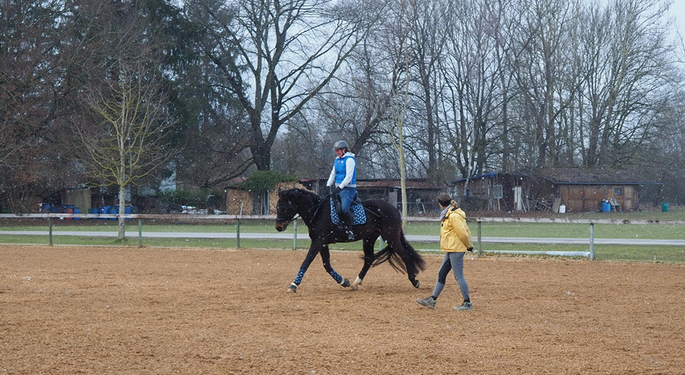 mobiler_Reitunterricht_augsburg