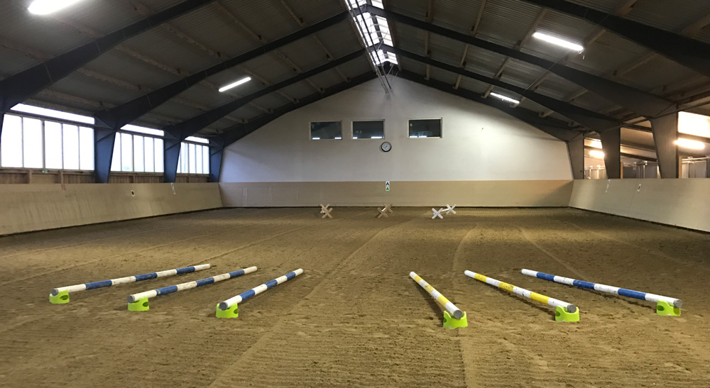 stangentraining_reiten_kurs